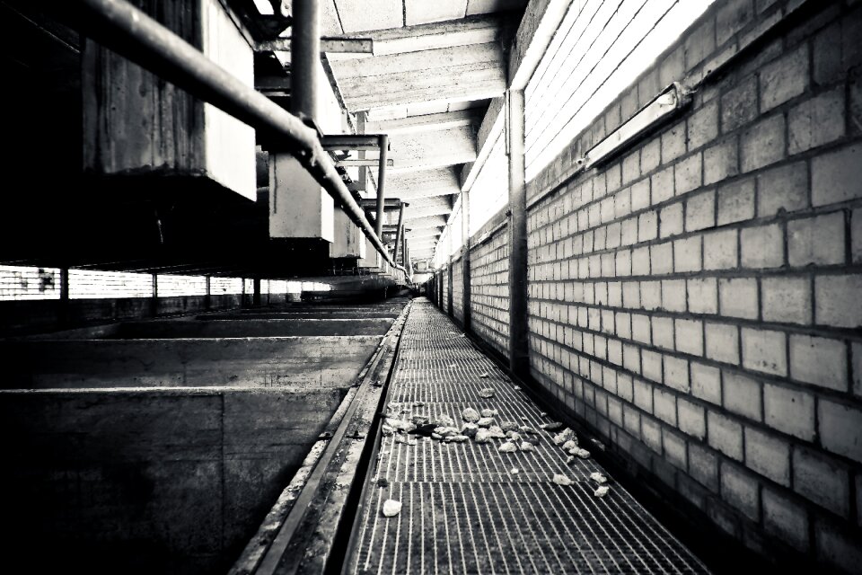 Abandoned industrial building lapsed