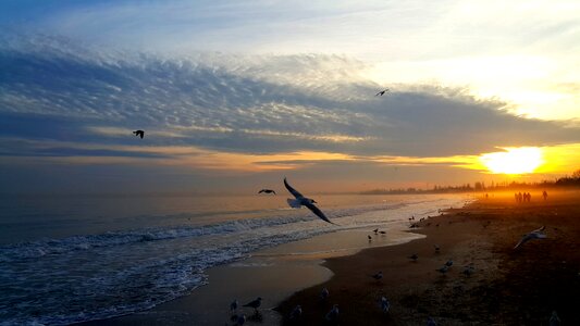 Sunset sea Free photos