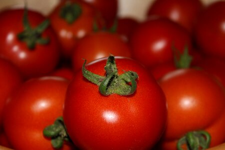 Harvest food vegetarian photo