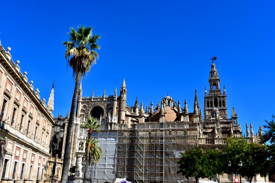 Spain Trip (225821553)