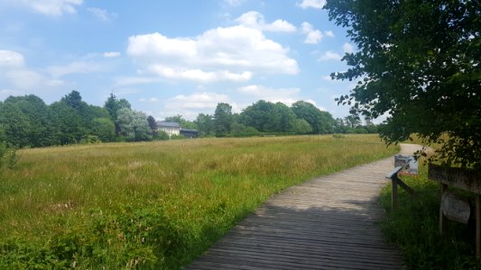 Spa-Musée de la Forêt et des Eaux (1)