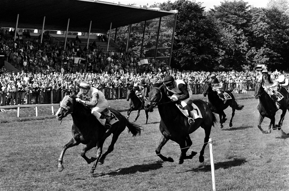 Speedy Gonzales (4) met L. Swärd (links) finisht als eerste, gevolgd door Earlyd, Bestanddeelnr 927-9772