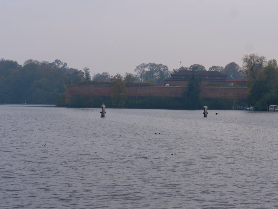 Spandauer See from Triftstraße 2019-10-24 09