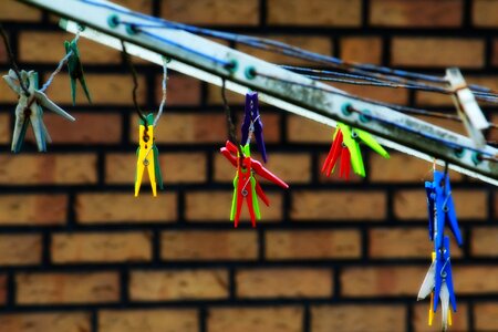 Budget colorful clamp