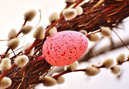 Easter color colorful