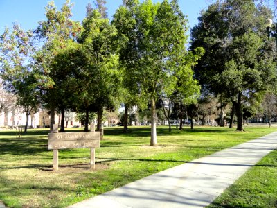 St. James Park (San Jose, California) - DSC03832