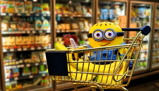 Healthy shopping cute