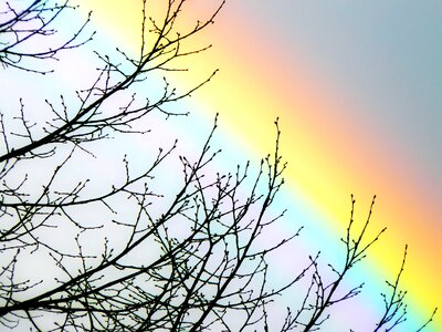 Rainbow colors farbenspiel natural phenomenon photo