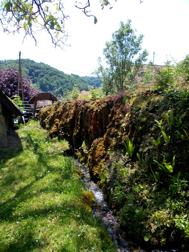 St. Michael's Parish Church (Pišece) 29