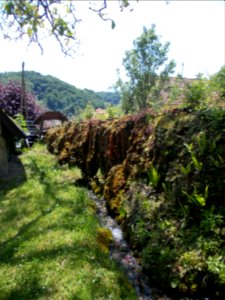 St. Michael's Parish Church (Pišece) 29