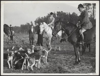 St. Hubertusjacht in de omgeving van Amersfoort met als jagermeester Prins Bernh, Bestanddeelnr 021-0282