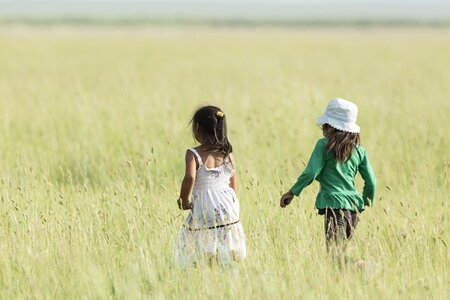 Meadow a step mongolia