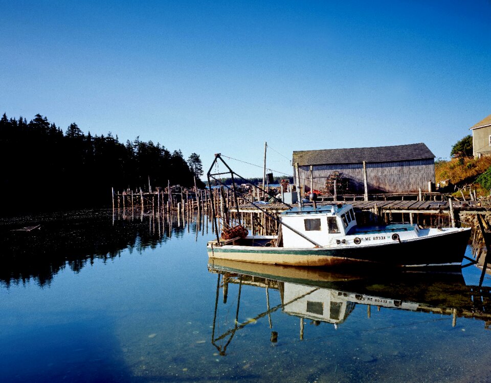 Anchorage fishing networks
