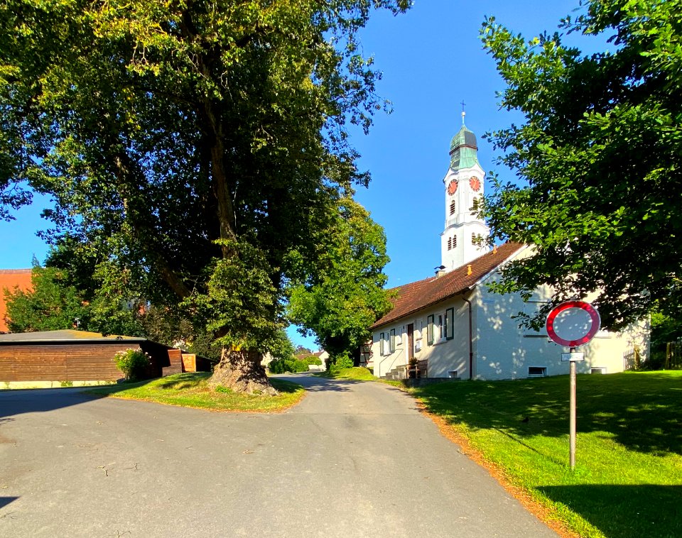 St. Martin (Erbach) (2)
