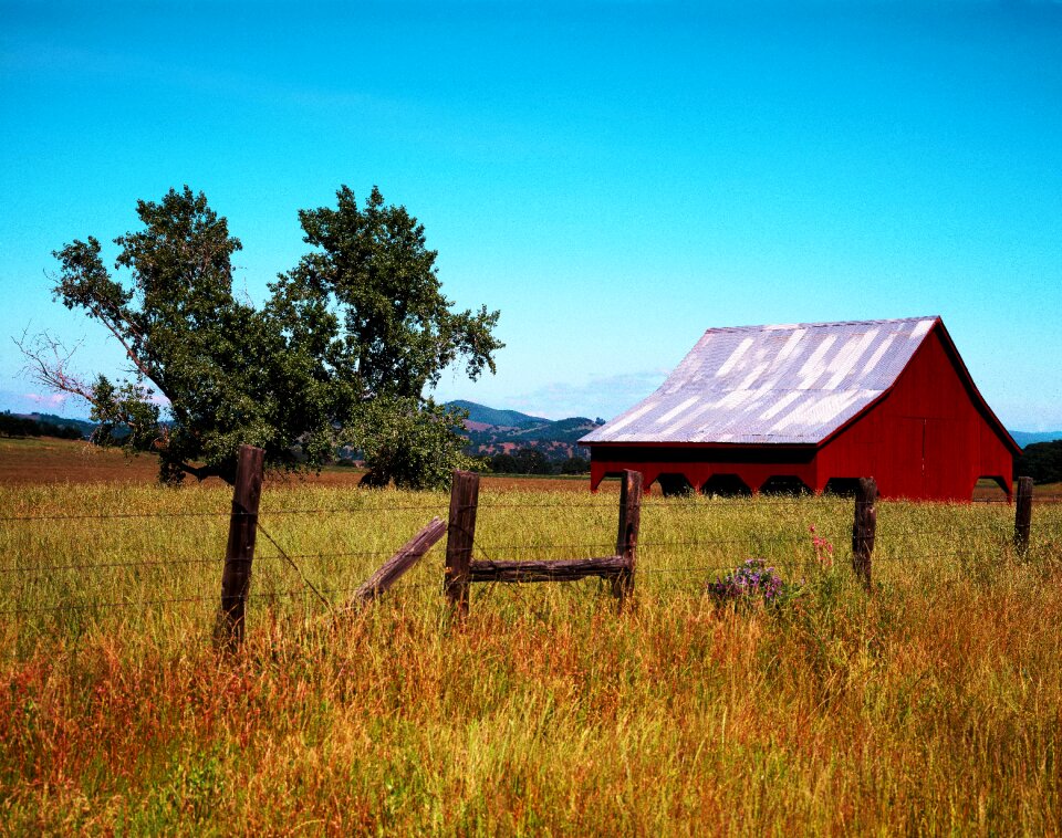 Barn woodhouse field barn