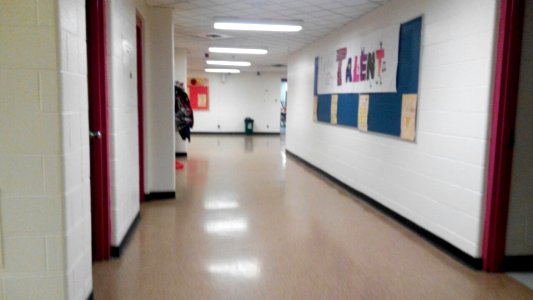 St. Ignatius of Loyola Catholic School, June 2018 (5)