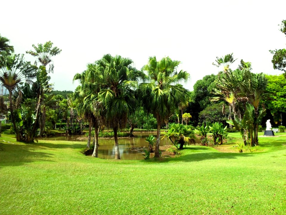 SSR Curepipe Botanical Gardens - Mauritius 1