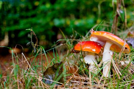 Germany lower saxony nature