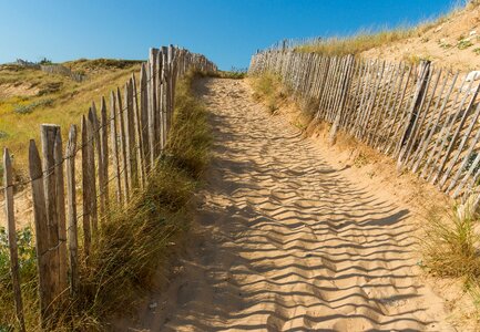 Sand dunes coast photo