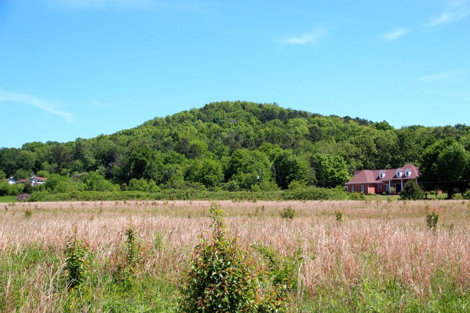 Sproull Mountain, Bartow County April 2019