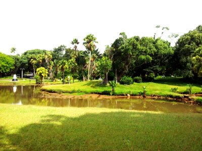 SSR Curepipe Botanical Gardens - Mauritius 3