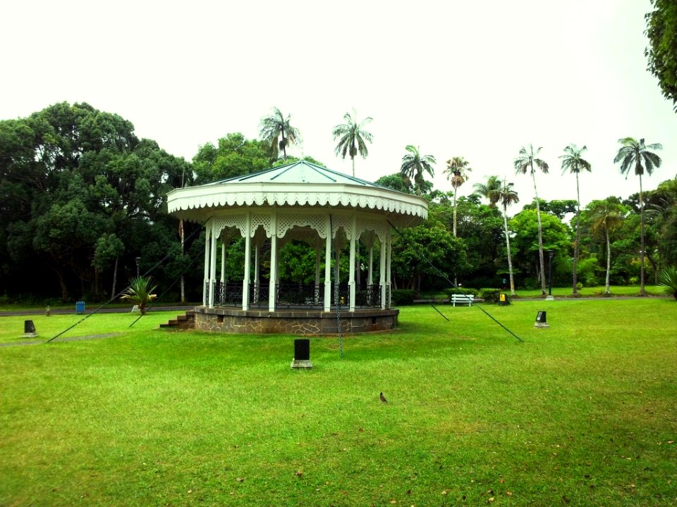 SSR Curepipe Botanical Gardens - Mauritius 4