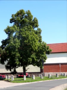 Square in Niedergebra 2
