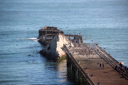 SS Palo Alto wreckage, Aug 2019