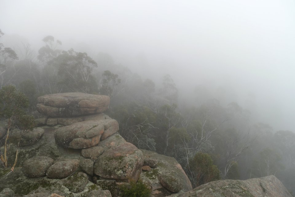 Square Rock Walking Track, Namadgi National Park 61
