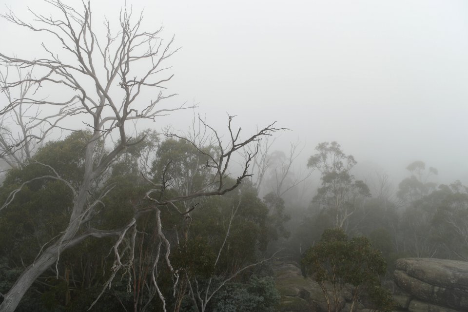 Square Rock Walking Track, Namadgi National Park 62
