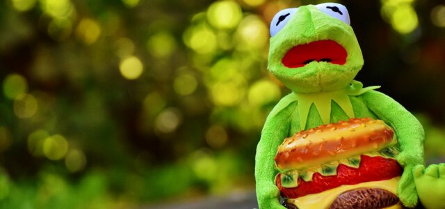 Hamburger funny animal