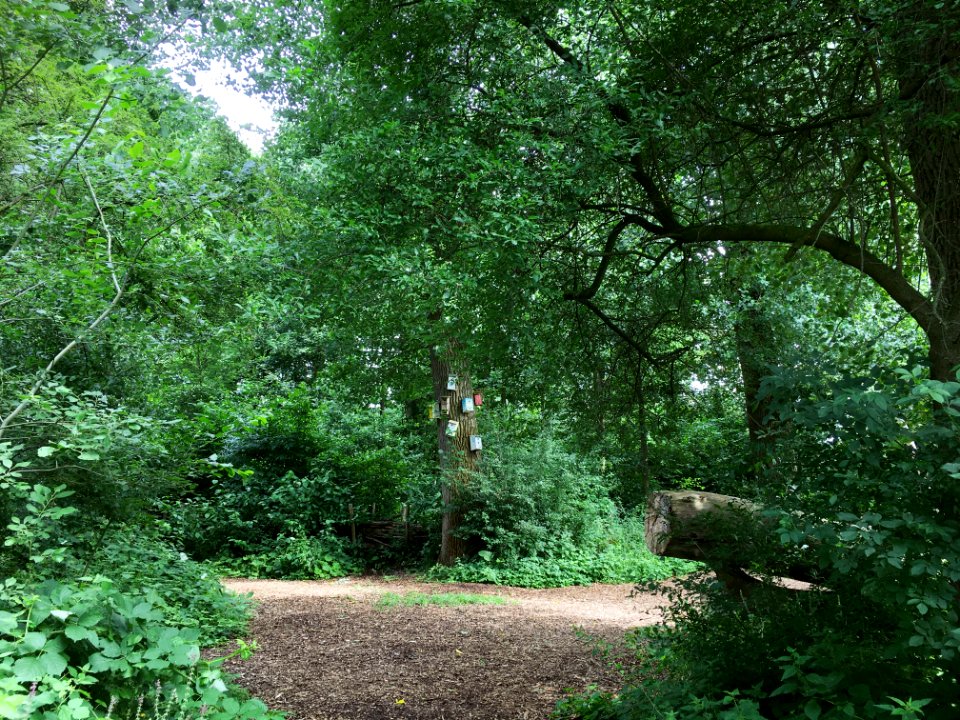 Sprokkelbos van Park Lingezegen in Lent (Nijmegen-Noord)