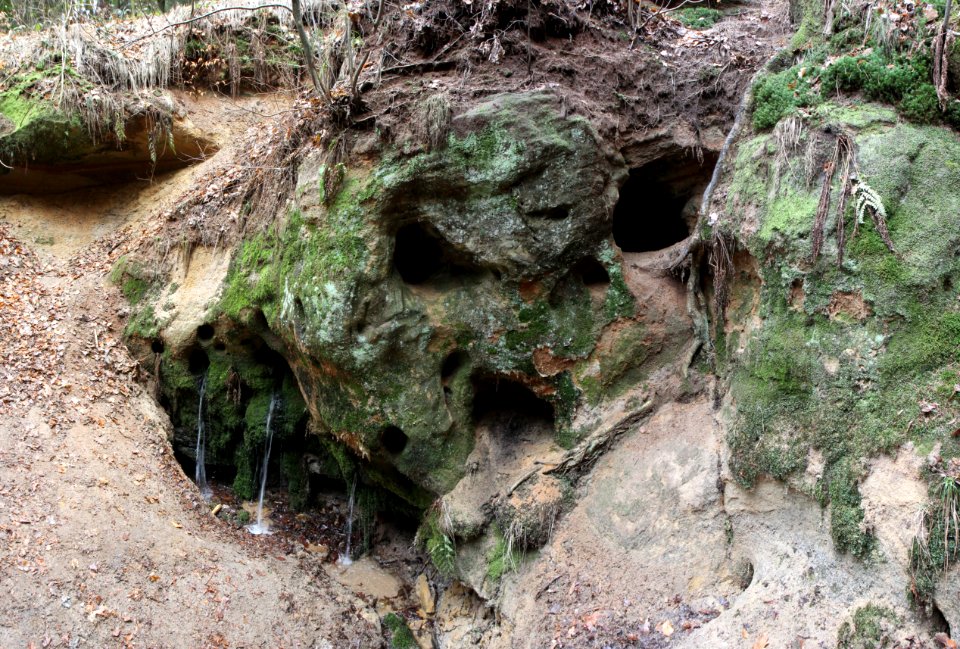 Sprosselbrunnen im Herbst