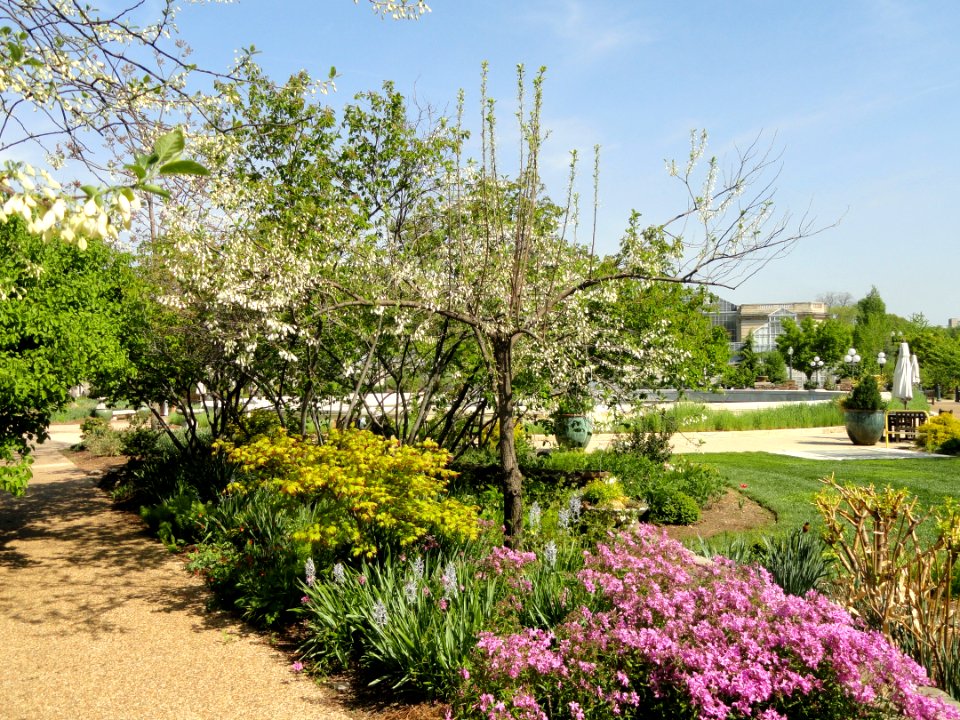 Springtime in Bartholdi Park - Washington, DC - DSC09439