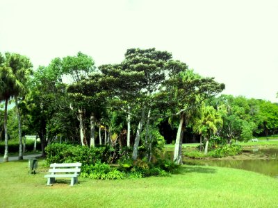 SSR Curepipe Botanical Gardens - Mauritius 5