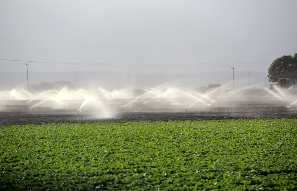 Sprinklers field, Salinas Valley CA Aug 2019