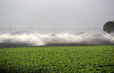 Sprinklers field, Salinas Valley CA Aug 2019