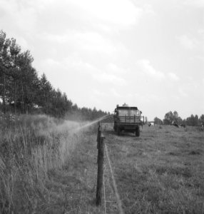 Sproeiwagens, sproeiwerkzaamheden, bossen, afrasteringen, koeien, Bestanddeelnr 253-4898