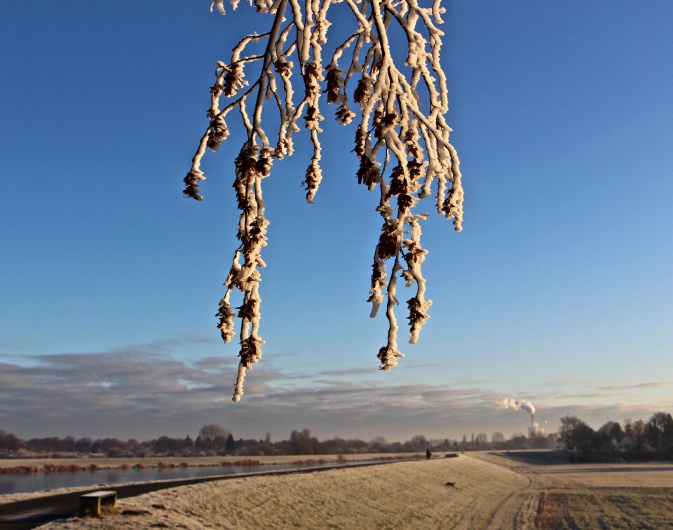 Aesthetic frost frozen