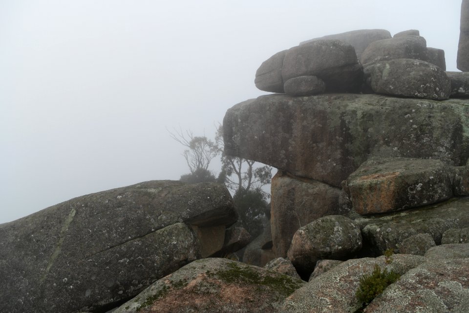 Square Rock Walking Track, Namadgi National Park 65