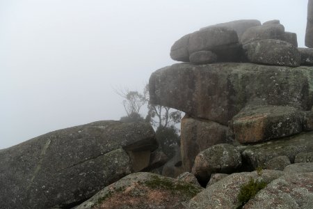 Square Rock Walking Track, Namadgi National Park 65