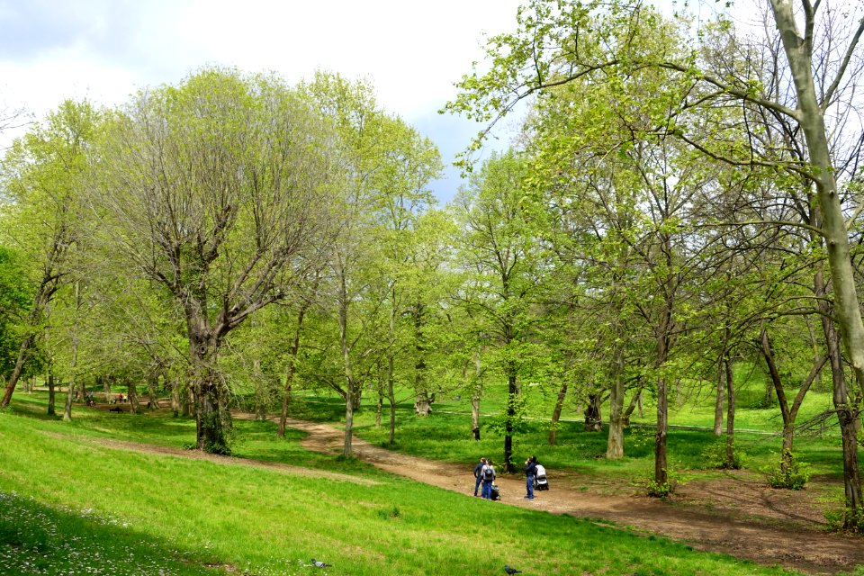 Springtime - Villa Borghese - Rome, Italy - DSC05011