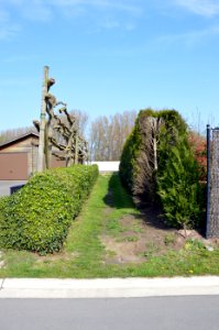 Sprinkelstraat tussen Jabekestraat en jaagpad