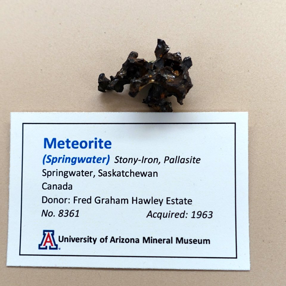 Springwater meteorite, Canada - University of Arizona Mineral Museum - University of Arizona - Tucson, AZ - DSC08484
