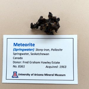 Springwater meteorite, Canada - University of Arizona Mineral Museum - University of Arizona - Tucson, AZ - DSC08484