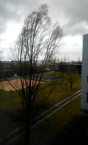 Sportplatz TUM Garching