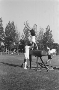 Sportoefeningen, Bestanddeelnr 34-3-6