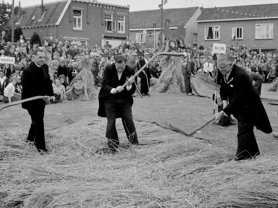 Stöppelhaene (1964)