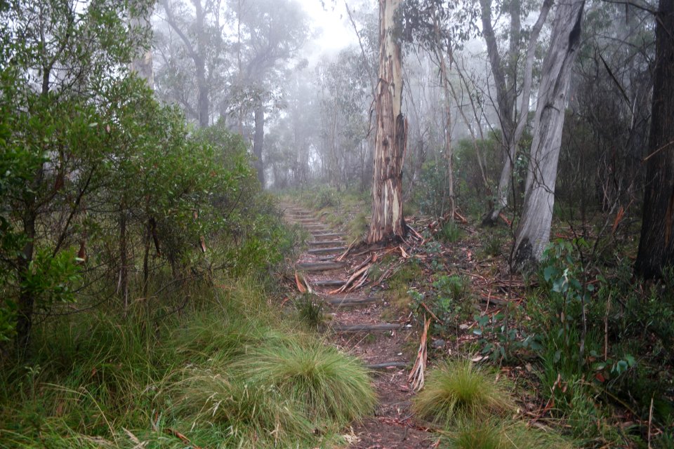Square Rock Walking Track, Namadgi National Park 09