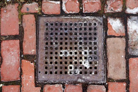 Square grid - storm drain - Cambridge, MA - DSC02760 photo